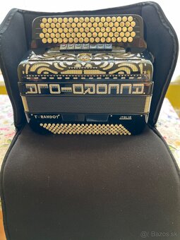 Akordeón - 4