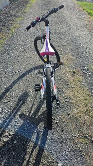 Kellys kiter 50 - 4