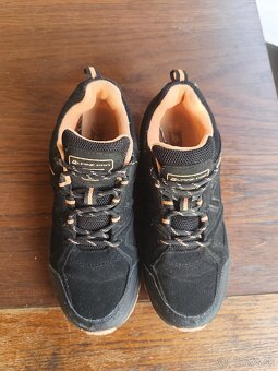 Alpine pro OLA2 - 4