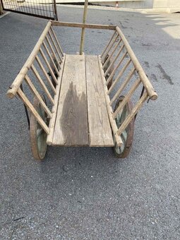 Menší rebriňák - 4