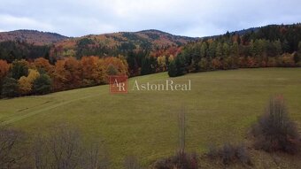 Rozľahlý pozemok pre individuálnu rekreáciu- Čertov 91.147m2 - 4