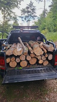 Palivové drevo neštiepané - 4