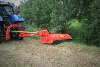 Maschio - 4