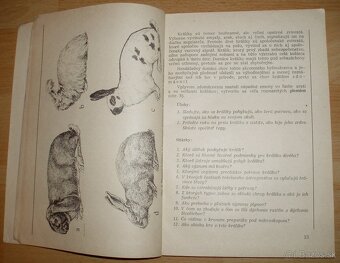 Zoológia pre 7. ročník všeobecnovzdelávacích škôl - 4