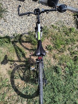 Dmasky bicykel CTM Terrano lady 2.0 - 4