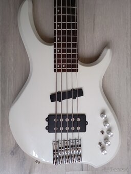 REZERVOVANÉ -5 strunová basgitara - 4