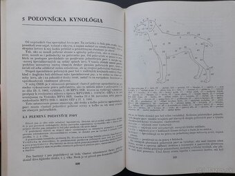 Poľovníctvo - 4