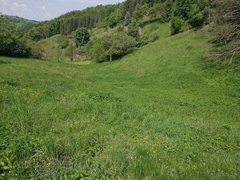Hriňová, Uhlisko – stavebný pozemok v peknej prírode, 9941m2 - 4