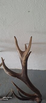Parohy,trofej,zhody - 4