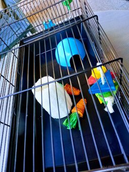 Klietka pre drobné cicavce - 4