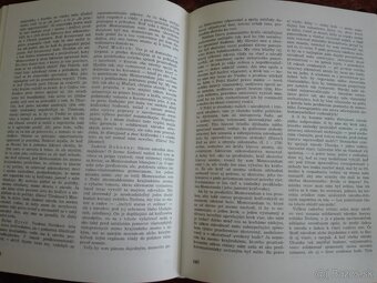 Z prameňov národa (Memorandum slovenského národa 1861) - 4