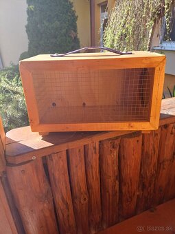 Papagaj kralovsky - 4