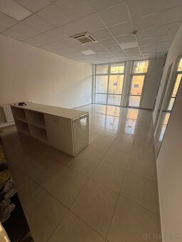 Obchodný priestor Botanika - 4