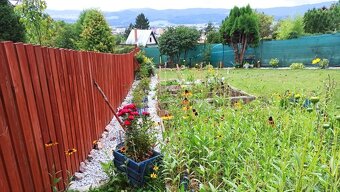 Predaj záhrady s chatkou, Spišská Nová Ves - 4