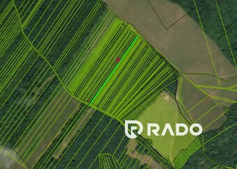 RADO | Les 619m2 + orná pôda 1205m2 - Chocholná-Velčice - 4