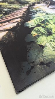 Fotoboraz zo Slovenského raja Tomášovská Belá - 4