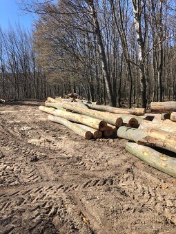 Predám palivove drevo buk jasen doprava 30km gratis - 4