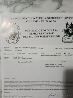Nemecký ovčiak - 4
