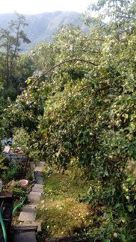 Záhrada Banská Bystrica - 4