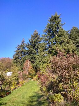 Predám chatu v Harmónii s krásnym výhľadom - 4