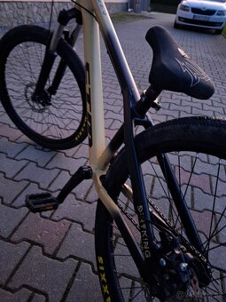 CTM DIRTKING - 4