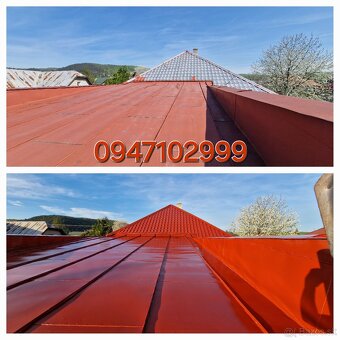 Malovanie striech (Natery strech) - 4