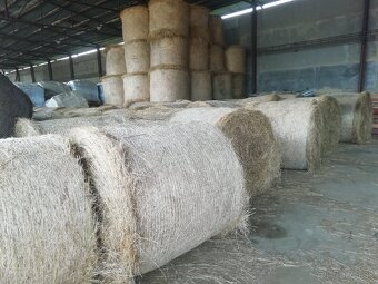 Balikovane seno - 4