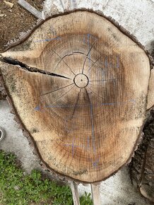 Orechové Drevo Rezivo Priečne rezy Kolace - 4