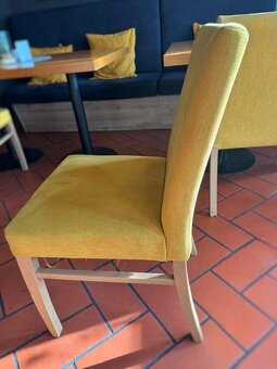 Čalúnené stoličky - 4