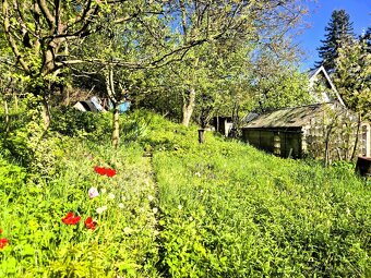 Predaj// záhrada nad kúpaliskom Handlová// 501 m² - 4