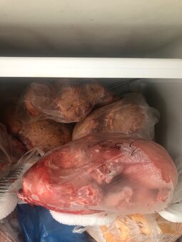 Predám domacé zajačie mäso. Domáci chov - 4