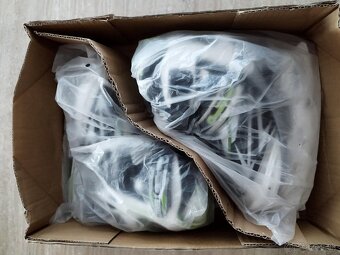 Predam detske korcule na lad velkost 29 - 32. - 4