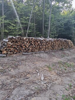 Palivové drevo Na predaj - 4