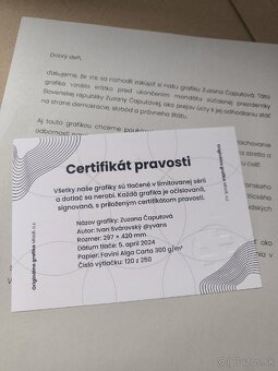 Grafiky Mladí - Zuzana Čaputová - 4