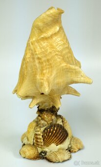 Socha ALEBO lampa z mušle - 4