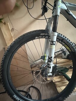 Predam scott scale - 4