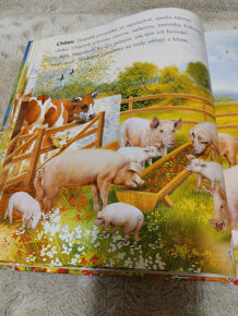 Farma a život na farme - 4