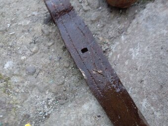 Kliešte.gule.panty. - 4