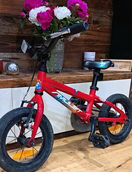 Detský bicykel 12 - 4