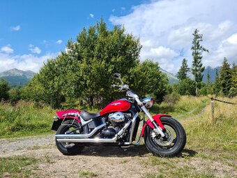 Suzuki Intruder M800 Cobra - 4
