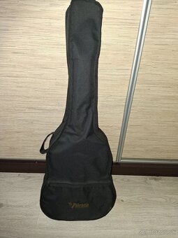 Gitara - 4
