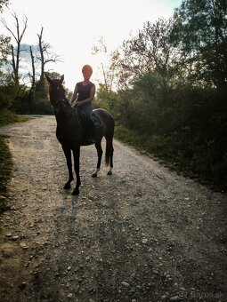 Kobylka po Davos - 4