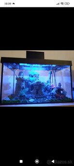 Akvário - 4