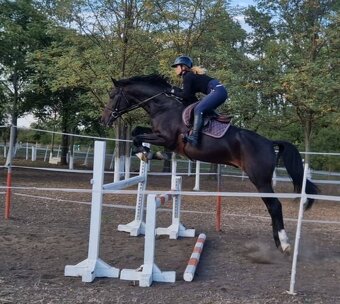 Cornet obolensky & Diamant De semilly - 4