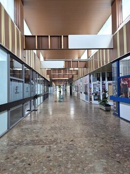 Prenájom-Obchodné priestory 18m2,36m2,70m2,90m2-BA V - 4