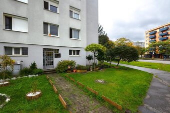 Prenajmem miestnosť v útulnom salóne na začiatku Bratislavy - 4