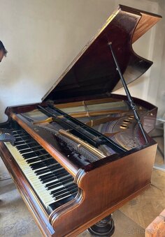 Predám historické krídlo - 4