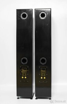 Vienna Acoustics Apis - 4