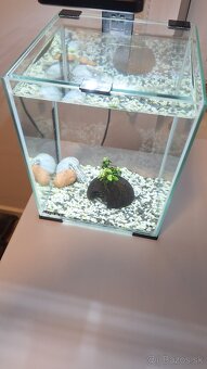 Aquael akvarium set 10l - 4