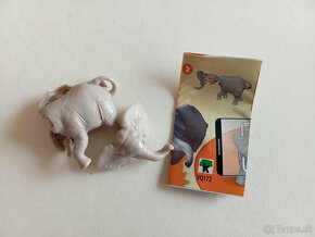 Kinder natoons 2024 - 4